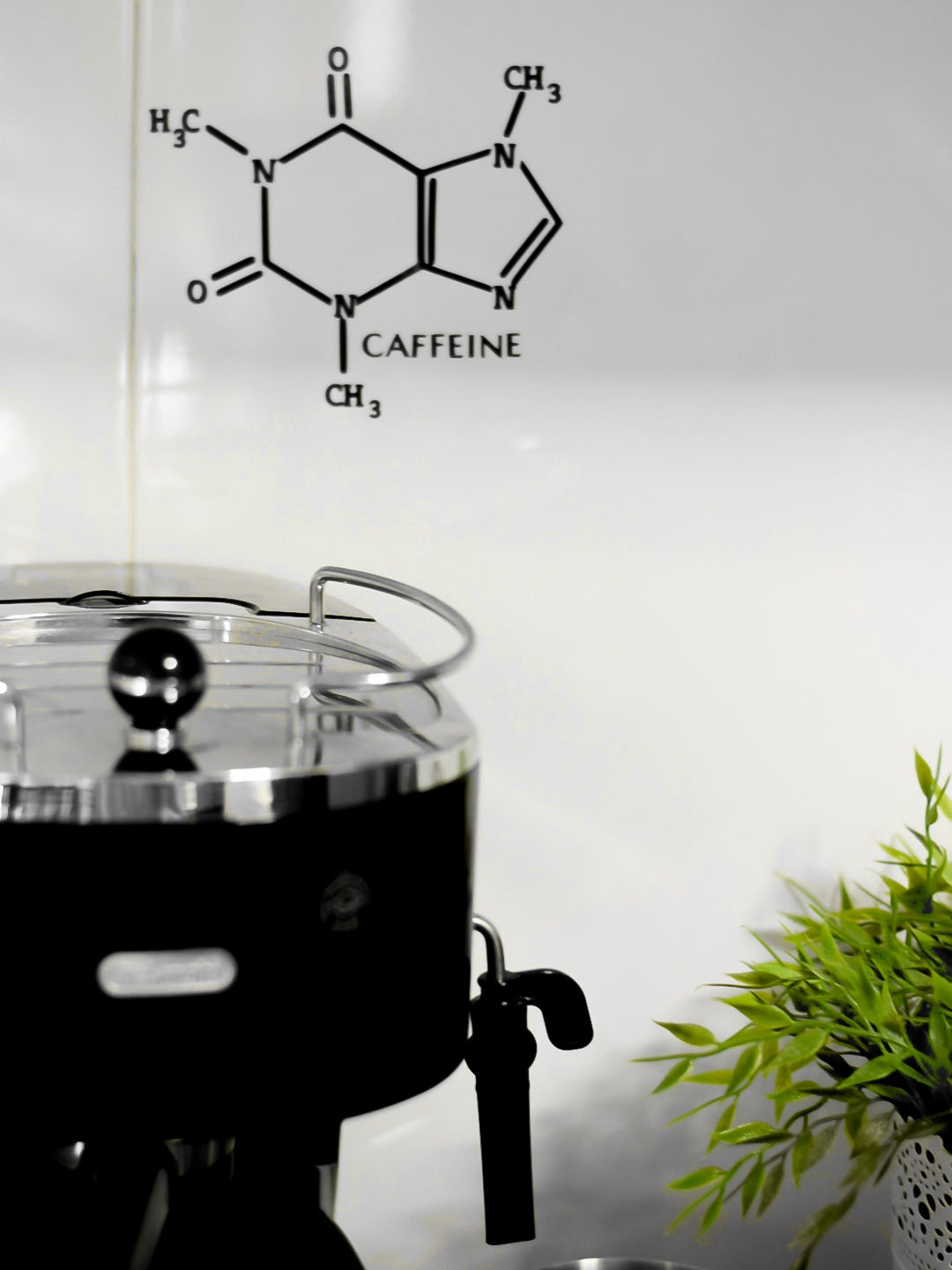 Coffee Vinyl Decal - Caffeine Chemical Structure - Fun Coffee Art Wall Decal Sticker